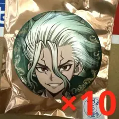 dr.stone theキャラ ブラックスーツ 缶バッジ 21個 石神千空 A Dr STONE THEキャラ ブラックスーツ ドクターストーン 石神千空 千空