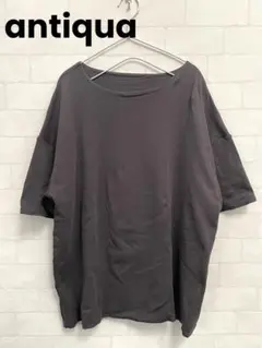 【antiqua】ダークグレー Tシャツ Lサイズ