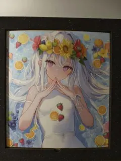 2025年最新】mignoniumの人気アイテム - メルカリ