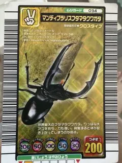 2026年最新】マンディブラリスフタマタクワガタ ムシキングの人気