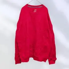 FRUIT OF THE LOOM【L】レッド系 スウェット 裏起毛