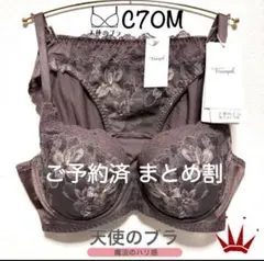 E75L トリンプ 天使のブラ 魔法のハリ感636 ブラ＆ショーツ M003