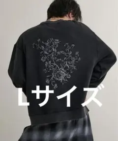 Item thumbnail for item fbad1b0a-6137-4d75-a8d8-a17c0468ed8e