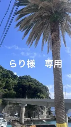 専用