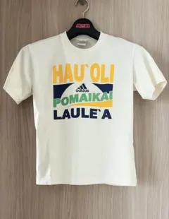 Item thumbnail for item bed631d9-0ce6-4f83-a1e8-a85378dca25d