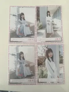 櫻坂46 大園玲生写真コンプ