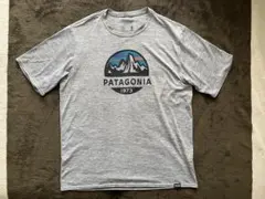 パタゴニア キャプリーンクール Mサイズ Fitz Roy Scope ②