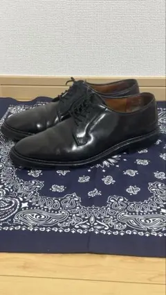 Alden オールデン クリッパーオックスフォードシューズ コードバン