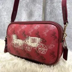 【極美品】COACH コーチ ショルダーバッグ レザー PVC レッド ホース