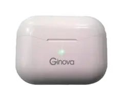 ★動作品 美品 Ginova ワイヤレスイヤホン G16★