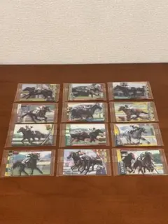 ②サラブレッドホースコレクション　12枚