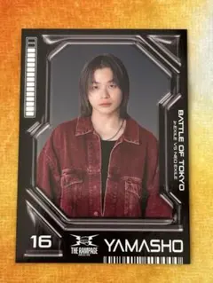 山本彰吾 BOT フォトカ