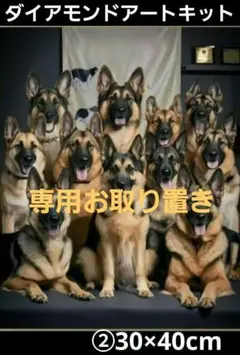 k.様お取り置き30×40cm②12匹ジャーマンシェパードダイアモンドキット