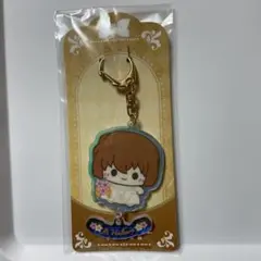 中国限定希少品‼︎♦︎匿名発送♦︎名探偵コナン【灰原哀】アクリルキーホルダー