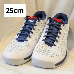 【美品】Prince25cmハード・カーペット用テニスシューズDPS022 4E