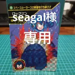 seagal様 リクエスト 4点 まとめ商品