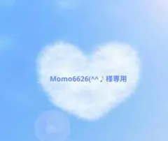 Momo6626(^^♪様専用♡匿名配送❃シマエナガお守り風シェイカー♥２点