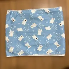 Item thumbnail for item a47c5075-4465-4b2d-907a-3d587902f9b1