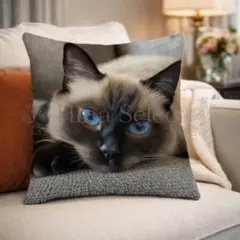 Item thumbnail for item e1244b5d-f65a-405e-a219-1c3c25c49fb9