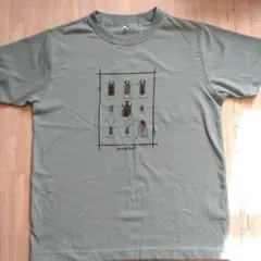 mont-bell 昆虫デザイン Tシャツ 160　ウィックロン