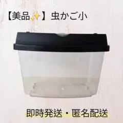 [상태좋음 ✨] 버그 케이지 상단에 작은 창이 있는 소형 사육 케이스