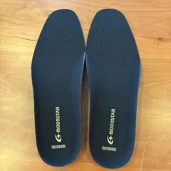 MOONSTAR インソール 25.0EEE