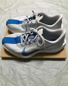 NIKE ナイキ ペガサス プラス メンズ 25.0cm