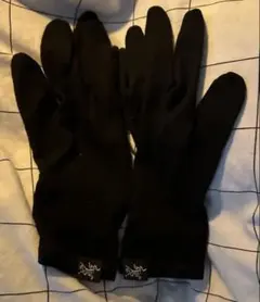 Item thumbnail for item 1a6acde0-077d-4aa0-a913-558fbd264b1d