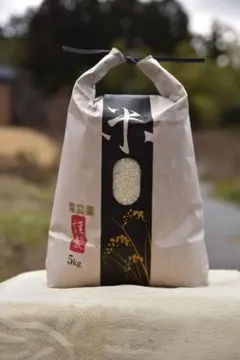 2025年愛媛県産奥伊予の「山麓米」(虹のきらめき)15kg202510.9精米 2025年愛媛県産奥伊予の「山麓米」(虹のきらめき)5kg 202510.9精米