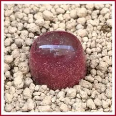 Earl Gray様 リクエスト 3点 まとめ商品