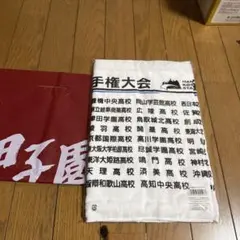 第107回全国高校野球選手権大会甲子園オリジナルタオル【全出場校名入り】