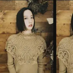 新品未使用品！LACE COLLAR SET DRESS