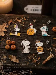 スヌーピー ハロウィンチャーム 5点セット　新品未使用　匿名配送