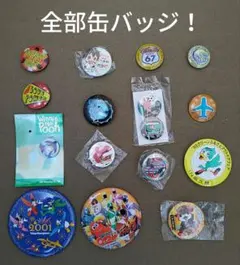 全部缶バッジ！