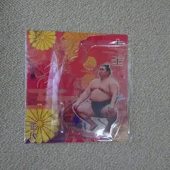 Item thumbnail for item da7914cd-ec7d-466d-a3a8-46dc755334a4