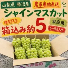 2️⃣1️⃣ 山梨県産 シャインマスカット 7房入り 箱込5.4キロ - メルカリ