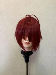 リドル ウィッグ 未セット