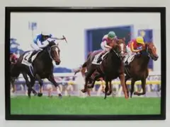 競馬 アドマイヤベガ パネル 心に残るライバル対決