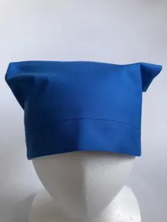 Item thumbnail for item 2e399501-87be-44e8-98aa-2272747fb520