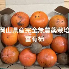 完全無農薬栽培富有柿