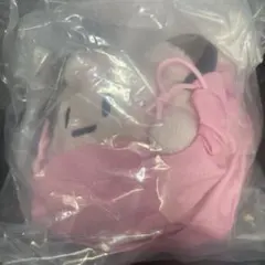 2025 Pokémon Collection ピッピ人形