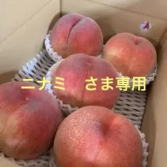 山梨一宮のめっちゃ甘い桃　超特大サイズ幸茜を5個詰めて発送　美味いです　あと僅か