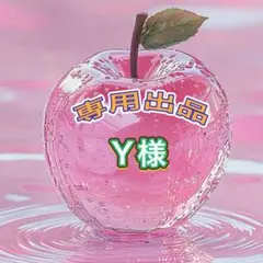 Y様専用出品