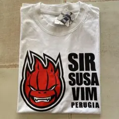 ペルージャ　Tシャツ 石川祐希