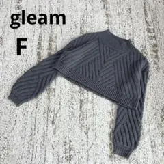 グリーム ショート丈 ニット セーター F 青 長袖 ハイネック ゆったり