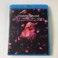 浜崎あゆみ/ayumi hamasaki COUNTDOWN LIVE 201…
