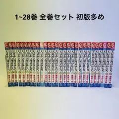 天は赤い河のほとり 全28巻 全巻 セット【24巻以外初版】 天は赤い河のほとり 全巻 セット 全28巻+ファンブックの計29冊 篠原