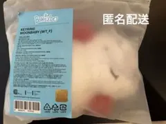 BBNEXDO BOYNEXTDOOR ウンアギ ウナク キーリング