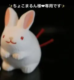 ちょこまるん 様❤︎専用です✨マングローブ(メヒルギ)苗　おまとめのサムネイル