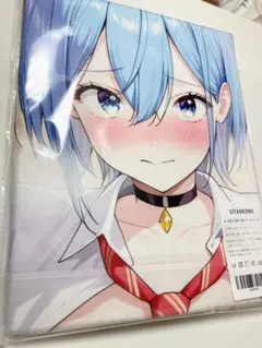 シルヴァ・バレルライン タペストリー 【メ ル カ リ出品のみ】 限定販売】バニースーツプランニング ほぼ等身大タペストリー